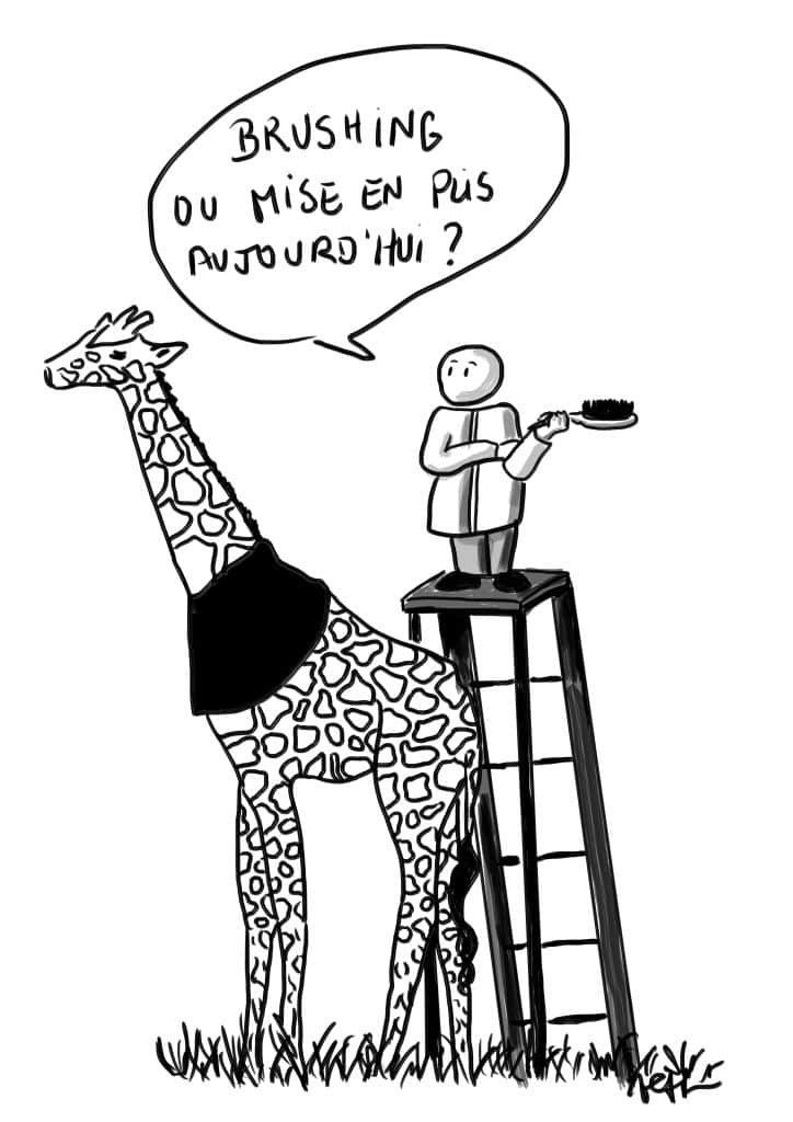 [Expression] Peigner la girafe